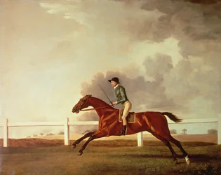 Bay Malton mit John Singleton Up, ca. 1767